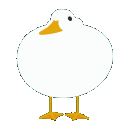 duckvibe3