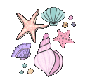 cseashells5
