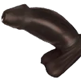 bigblackdick