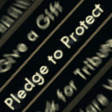 pledgetoprotect
