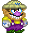 wario29