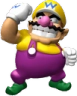 wario91